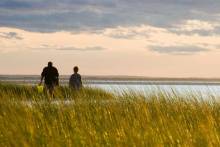 Father and Son Cape Cod Summer